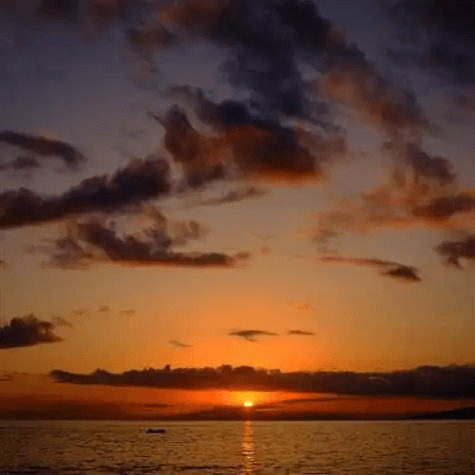 麦辣鸡腿满分堡